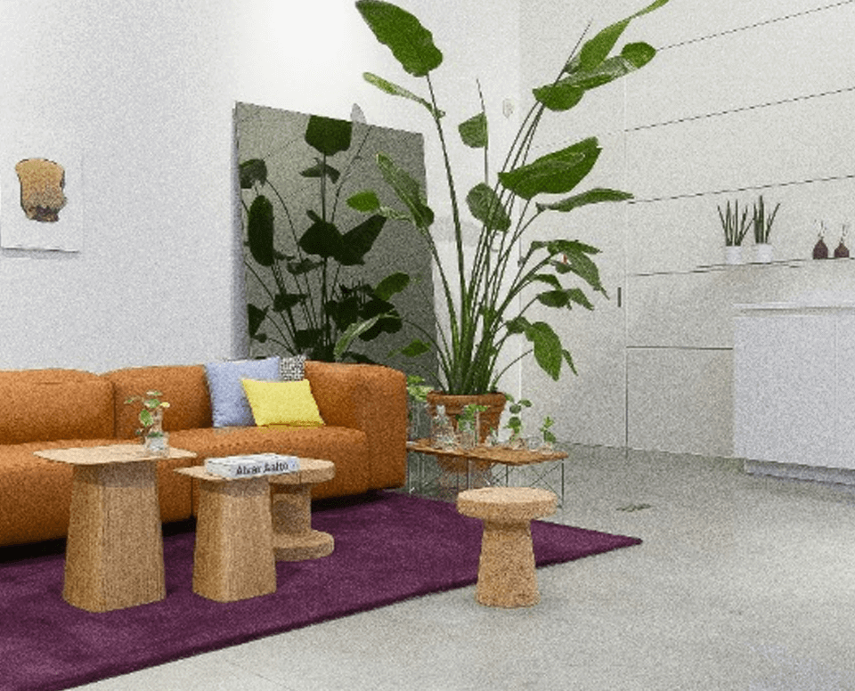 Online Polygon Chart Maker